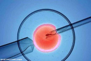 专家肖像